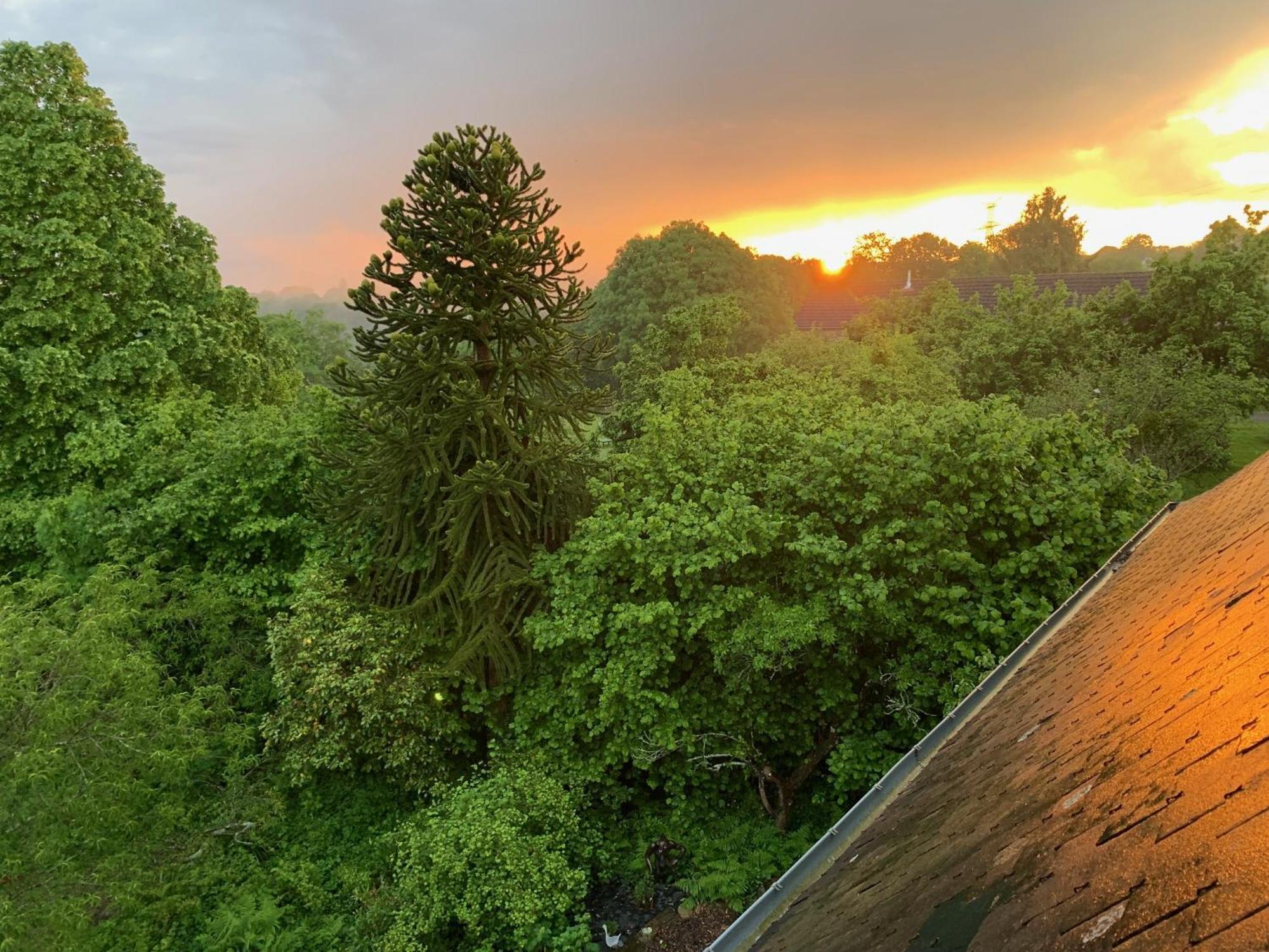 Isigny-le-BuatLe Petit Manoir住宿加早餐旅馆 外观 照片